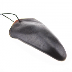 【新西兰门店销售】【外包装以实物为准】Premium New Zealand Deer Tail 新西兰野生鹿尾 (门店可邮寄使用富腾达快递,快递费60纽/每包)(扣件不赔) 【新西兰门店销售】【外包装以实物为准】Premium New Zealand Deer Tail 新西兰野生鹿尾 (门店可邮寄使用富腾达快递,快递费60纽/每包)(扣件不赔)